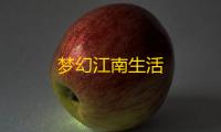 梦幻江南生活